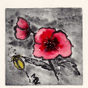 Può includere: Una stampa ad acquerello di un fiore di papavero rosso con un contorno nero e un bocciolo giallo. L'opera d'arte è su uno sfondo grigio quadrato e strutturato. La stampa è firmata e numerata 14/100.