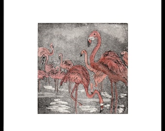 Flamingos div. Farben - Geschenk zum Jahrestag - Original-Radierung - Druckgrafik - Etching - limitierte Auflage: 50