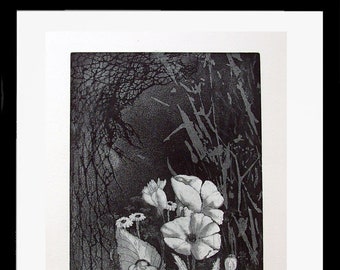 at night - mystical poppies in the garden - original etching - prints - etching - limited edition of only 30 - signed Marlene Neumann