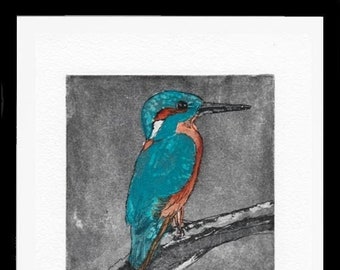 Eisvogel - Kingfisher -Natur - Europa - Original-Radierung - Etching coloriert - Miniatur - limitierte Auflage - Geburtstag - Hochzeit -