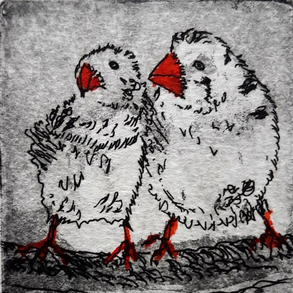 Zebra Finch Pair - Puffin - Miniature - for Lovers - Valentine's Day - Original Etching - Printmaking - Etching - Limited Edition: 50