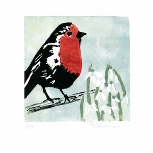 Könnte beinhalten: Ein schwarz-roter Rotkehlchen sitzt auf einem Ast mit weißen Schneeglöckchen. Der Vogel schaut nach rechts und die Blumen sind im Hintergrund. Das Bild ist ein Druck mit der Nummer 7/13 unten links und der Unterschrift des Künstlers unten rechts.