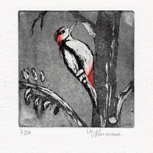Dzięcioł duży - ptak - natura - drzewo - dekoracja mieszkania - oryginalna akwaforta tradycyjna - druk artystyczny - grafika - miniatura - akwaforta
