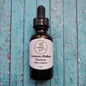 Common Mallow Tincture
