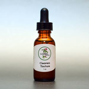 Cleavers Tincture