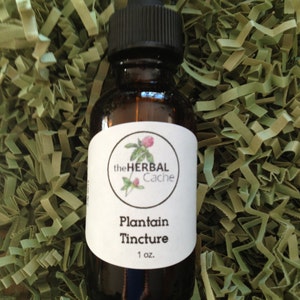 Plantain Tincture