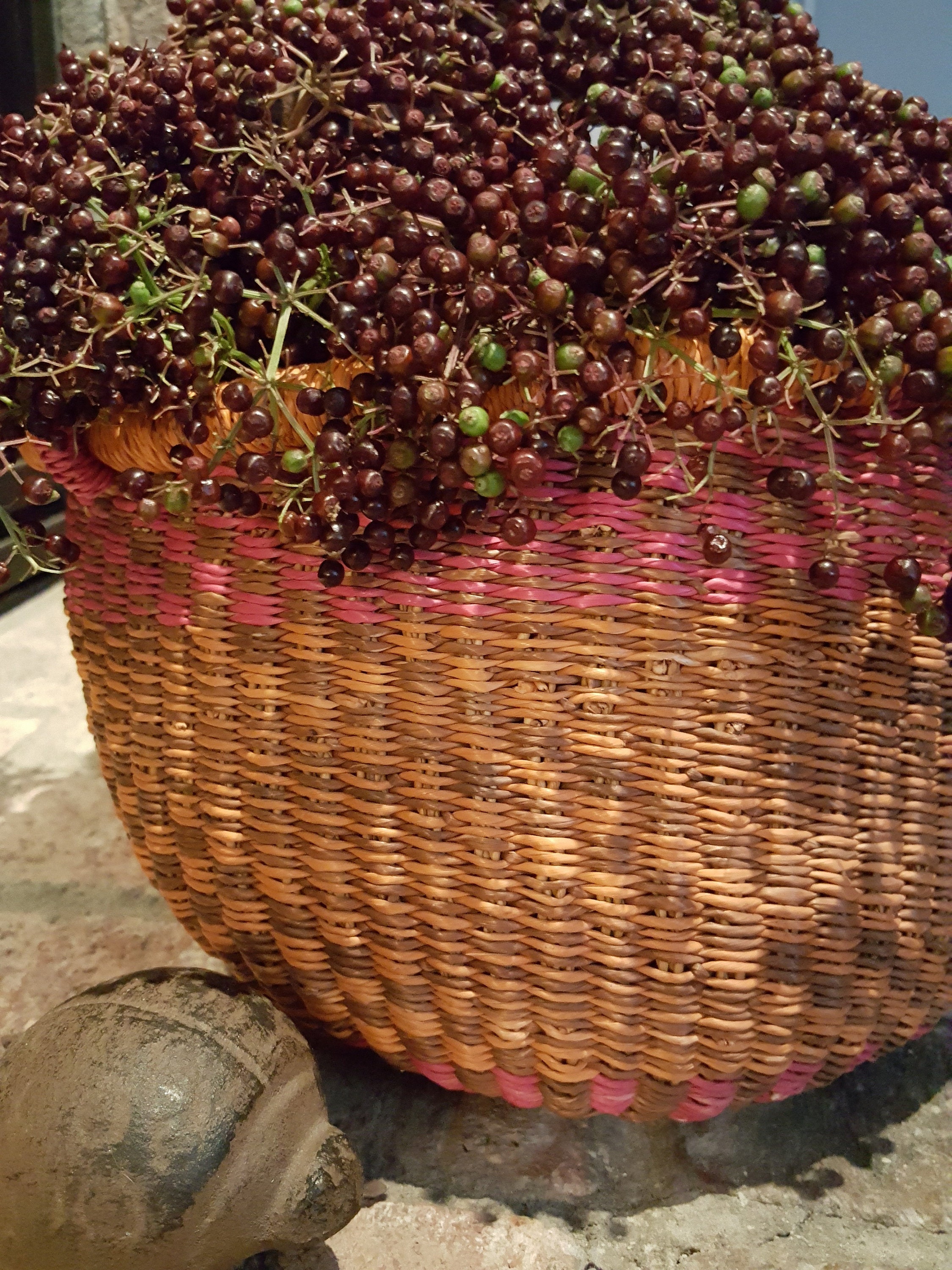 Dried Elderberries Etsy Canada