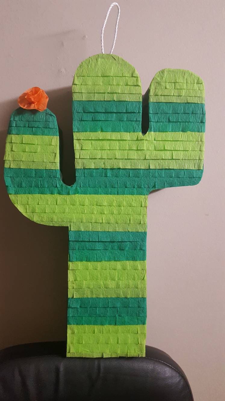 Cactus Pinata Etsy Singapore