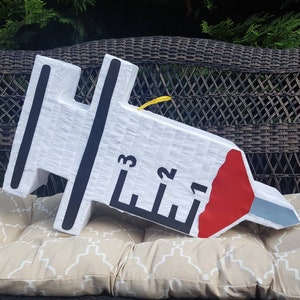 Nurse, Doctor Medical party, Custom syringe pinata
