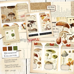 Kit de journal imprimable de collection de champignons, kit de champignon vénéneux numérique et d'éphémères de champignon, illustrations botaniques vintages, clipart de champignon