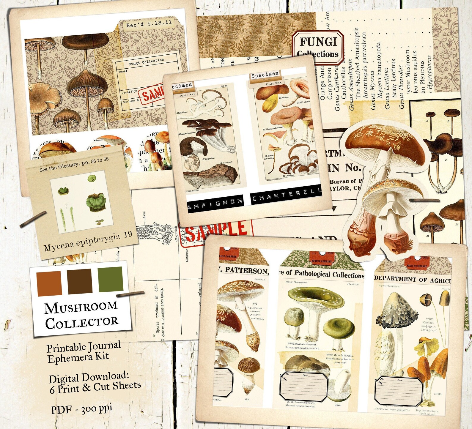Mushroom Collector Printable Junk Journal Kit Digital Etsy