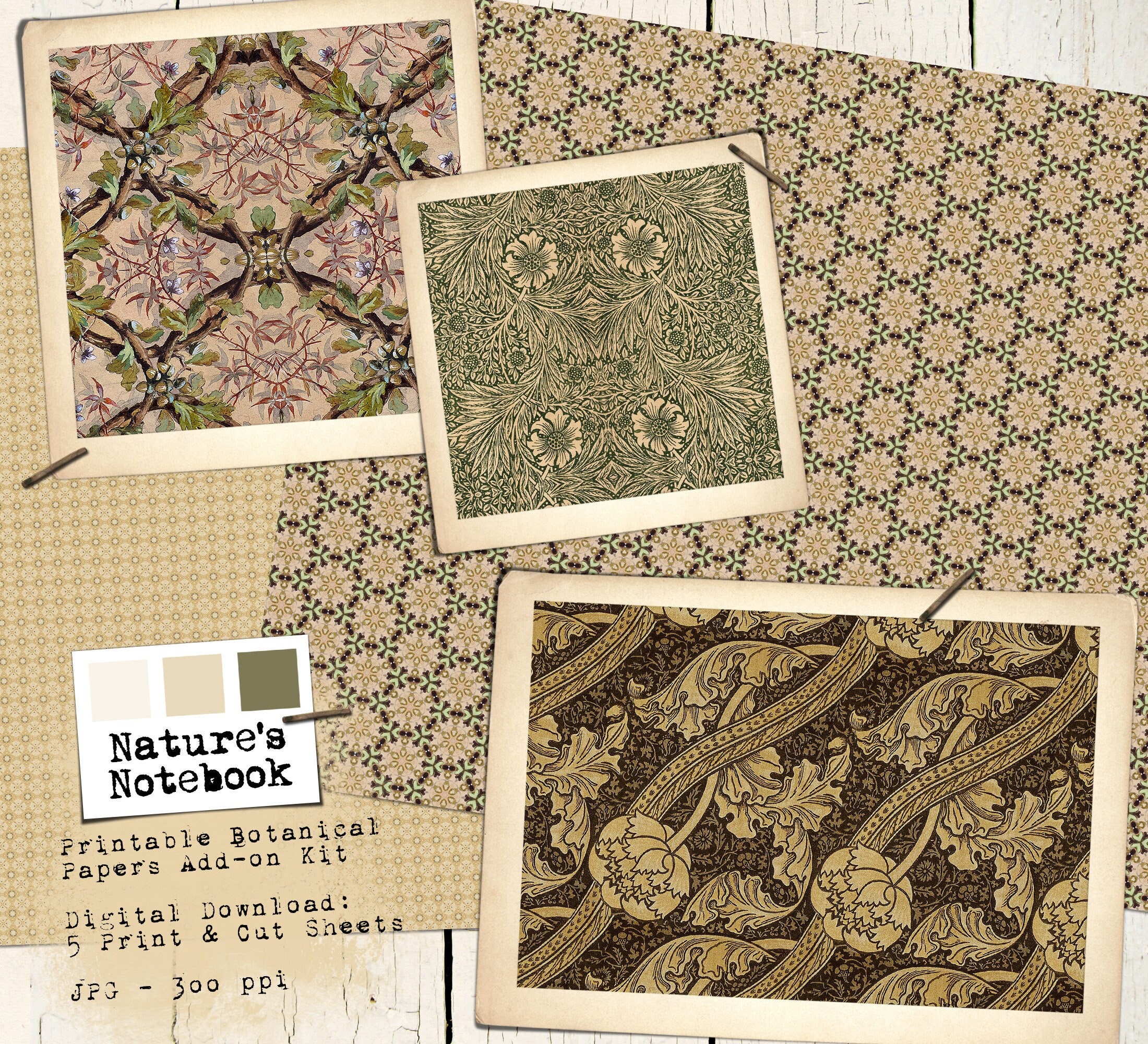 Nature's Notebook Printable Botanical Papers Digital - Etsy