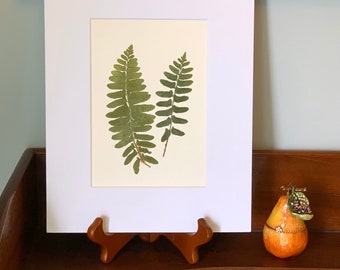 Real Pressed Fern Pressed Botanical Art Herbarium of Christmas Ferns in White 8x10 Mat