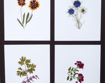Real Pressed Flower Art Pressed Botanical Art Herbarium Collection 8x10