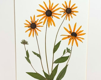Original Real Pressed Flower Art Pressed Botanical Art Herbarium of Black Eyed Susan 11x14