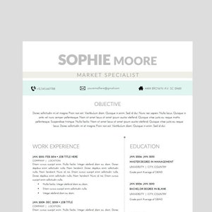 Marketing Classic Resume Template with Cover Letter for WORD |  Instant Download | RN, Nurse, Medical  Professional, Teacher Resume