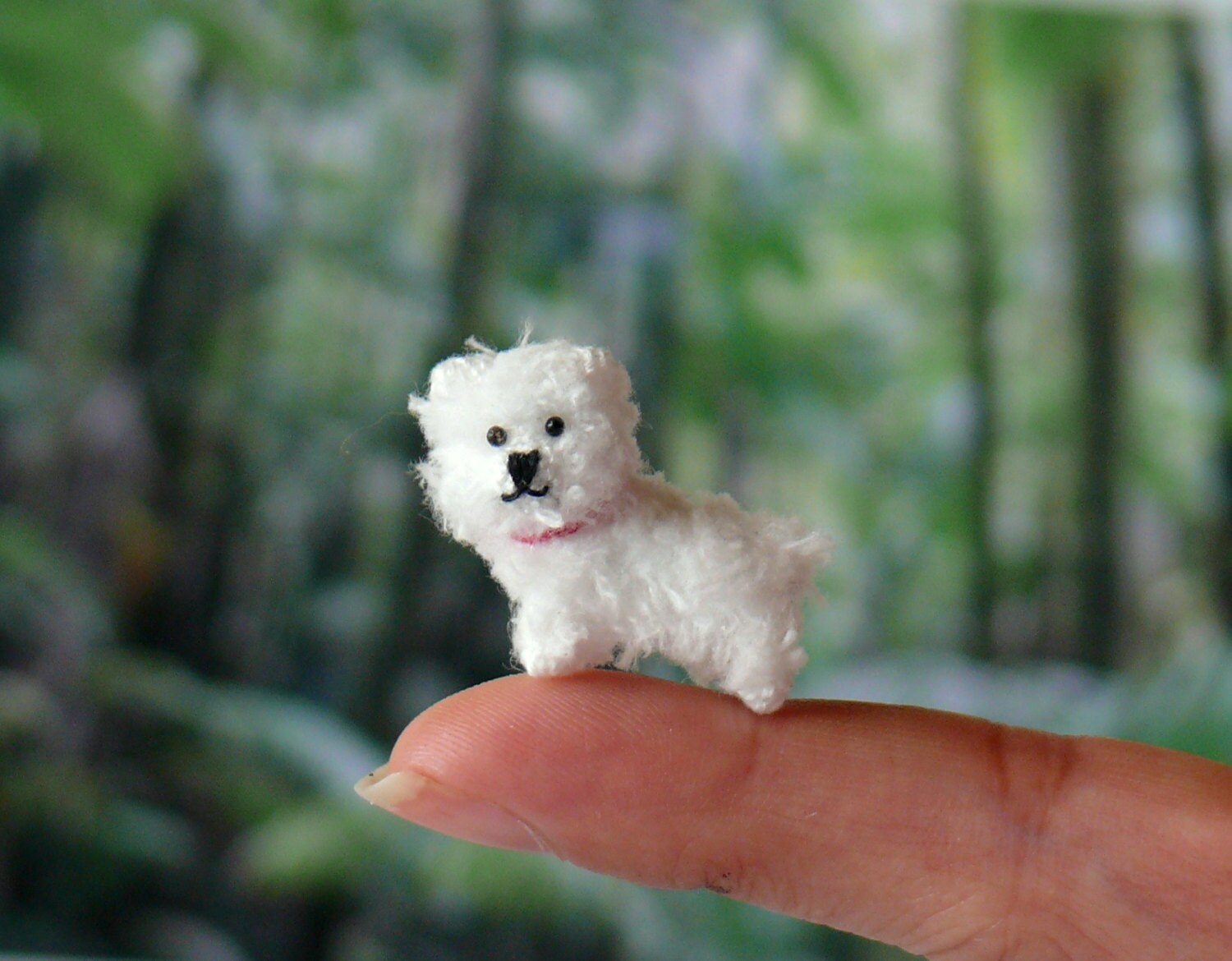 tiny toy maltese
