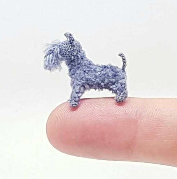 mini kerry blue terrier