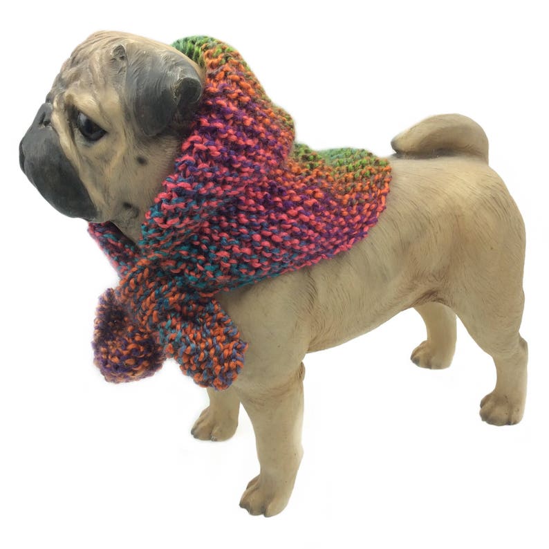 puppy clothes and accessories