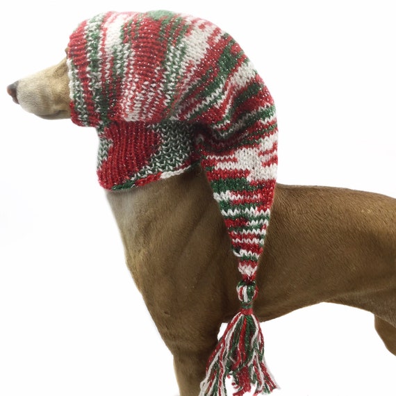 cheap dog clothes uk