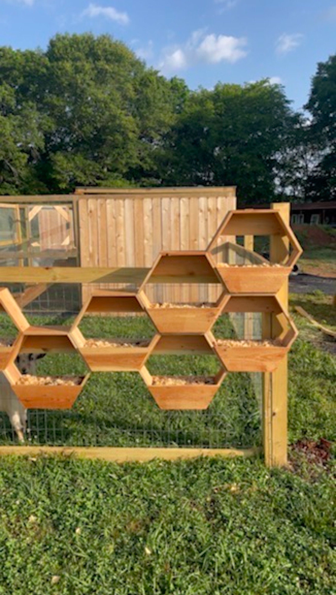 Hexagon Hanging Planter Woodworking Plans - Etsy