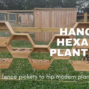 Pode incluir: Jardineiras hexagonais de madeira, com o texto "DIY HANGING HEXAGON PLANTERS". As jardineiras são preenchidas com terra e montadas numa cerca de madeira. O texto "From fence pickets to hip modern planters" também é visível.