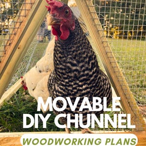 May include: A chicken with black and white patterned feathers and a red comb and wattle, inside a wooden and wire enclosure. The image includes the text "MOVABLE DIY CHUNNEL WOODWORKING PLANS".