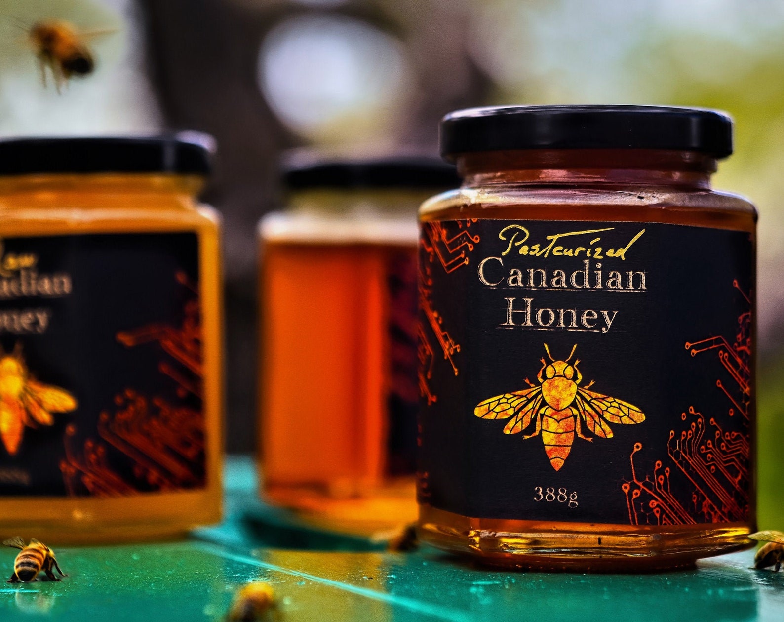 Honey Raw Pasteurized Liquid and Creamed Unfiltered Etsy