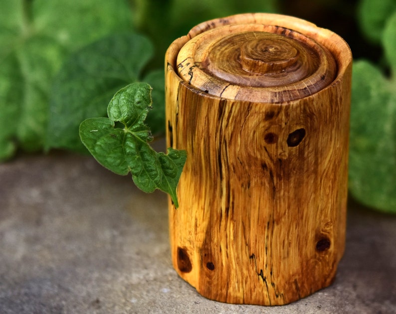 Small Oak Jar Small Oak Jar