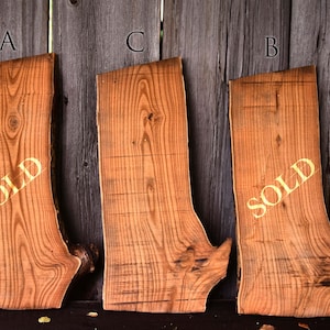Russian Olive Lumber, Rough Cut, Live Edge, Seasoned