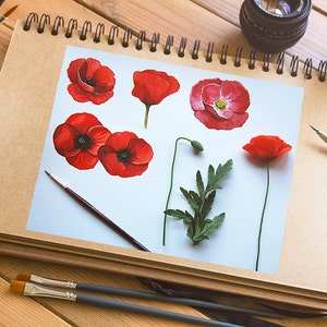 Watercolor Poppies Flowers Clipart, Poppy Hand Painted, Watercolor ...
