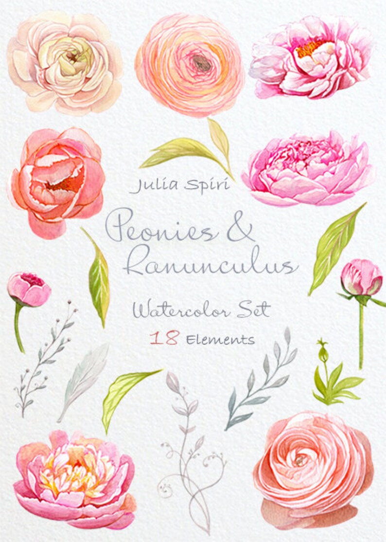 May include: Watercolor illustration set of 18 elements featuring pink and white peonies and ranunculus flowers. The set includes individual flowers, buds, and leaves. The text "Julia Spiri Peonies & Ranunculus Watercolor Set 18 Elements" is included in the image.