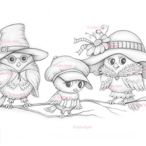 Página para colorir de pássaros, carimbo digital, digital, pardal, pai, mãe, filho, chapéus, artesanato, fantasia, capricho, artesanato. Família de pássaros
