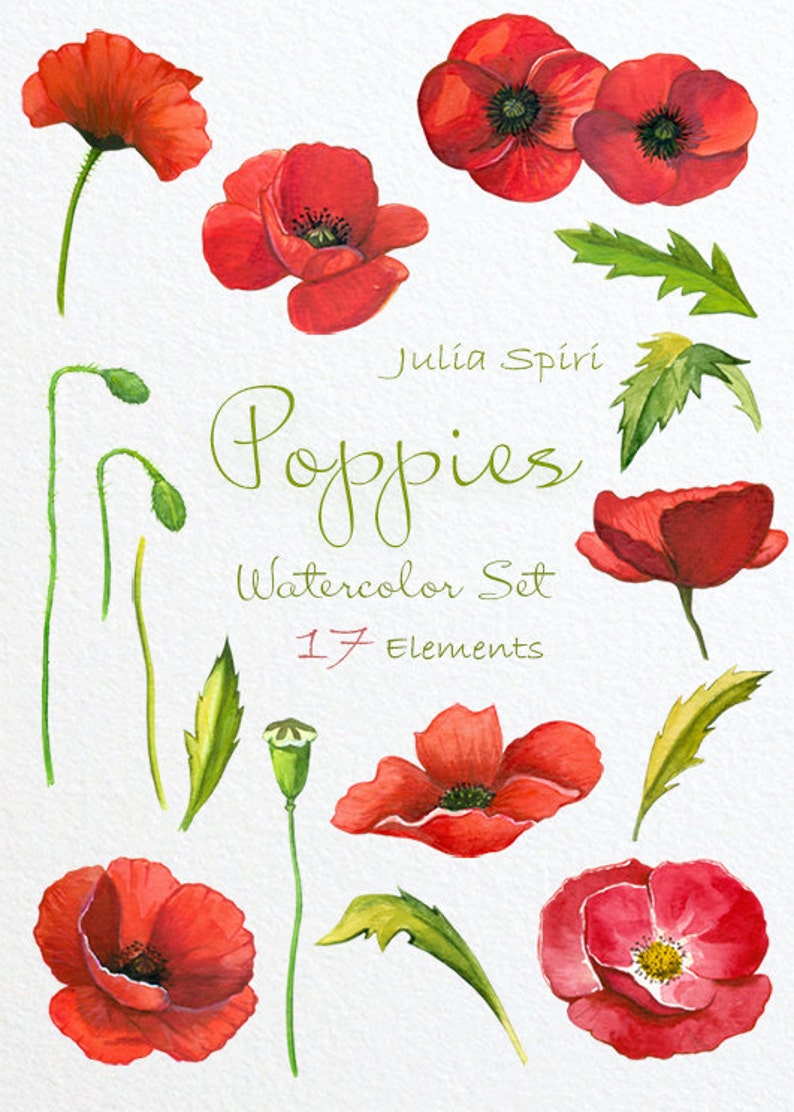 Watercolor Poppies Flowers Clipart, Poppy Hand Painted, Watercolor Flowers, Wedding, Invitation, Diy, Red, PNG Elements, Invite. Poppies image 2