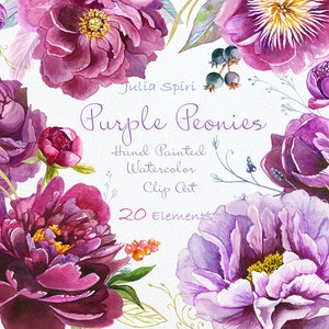 Clipart de peonías en acuarela, morado, violeta, burdeos, invitación de boda, conjunto floral, tarjeta de felicitación lila, bricolaje de peonías. Peonías moradas.