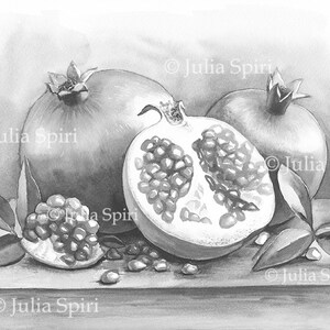 Kolorowanki GRAYSCALE, Cyfrowy znaczek, Owoce, Martwa natura. Granaty