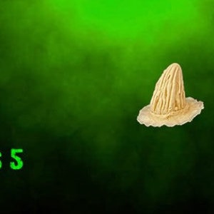 Horns #5 - Foam Latex Prosthetic (UNPAINTED)