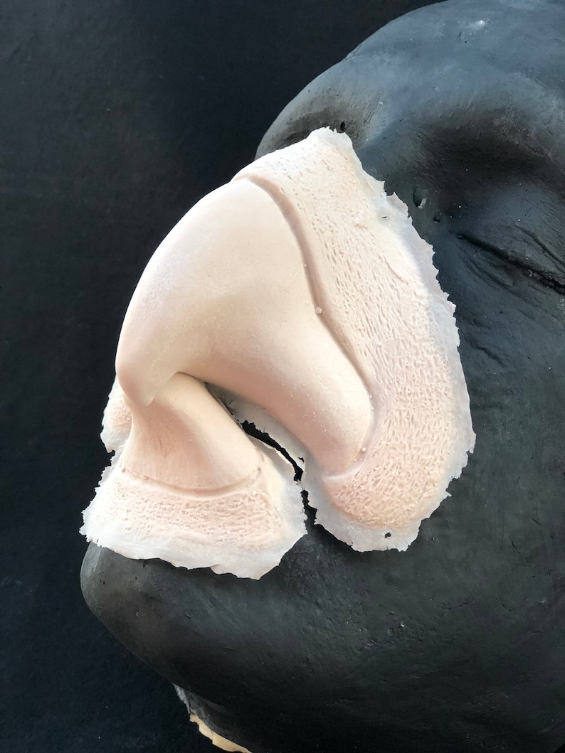 UNPAINTED Bird Beak Foam Latex Prosthetics