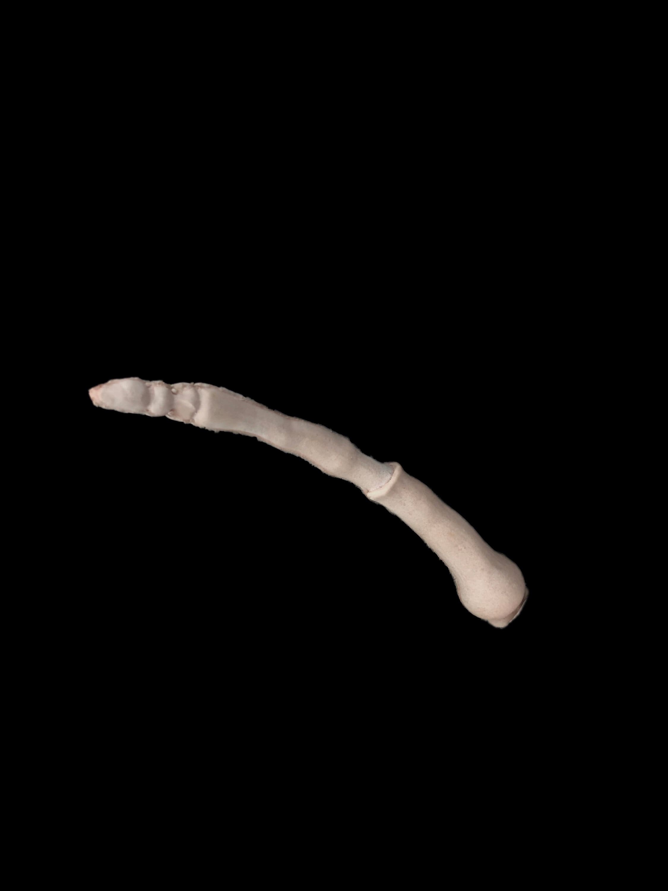 Antenna Foam Latex Prosthetics UNPAINTED Etsy