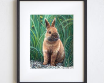 8x10 Rabbit Colored Pencil Print