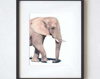 雄象の色鉛筆画 - Etsy 日本