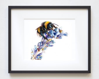 5x7 Bumblebee Colored Pencil Print