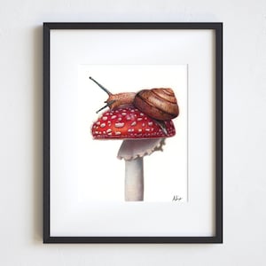 Impresión a lápiz de color de caracol de 5x7