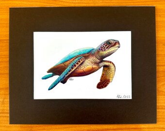 5x7 Sea Turtle Colored Pencil Print