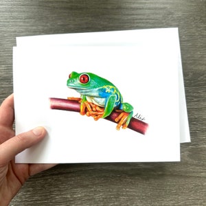 Tree Frog Greeting Cards 4 Pk Boxed Set
