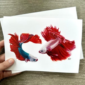 Lot de 4 cartes de voeux Poisson Betta