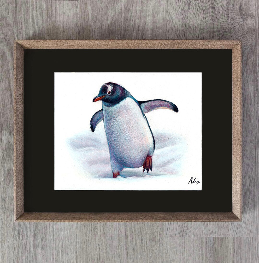 ORIGINAL Penguin Colored Pencil Drawing - Etsy