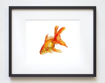 5x7 Goldfish Colored Pencil Print