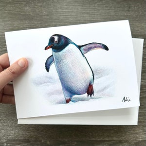 Cartões de felicitações Penguin 4 Pk Boxed Set