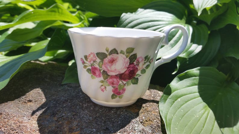 Made In England Royale Garden Staffordshire Tea Cup And Saucer